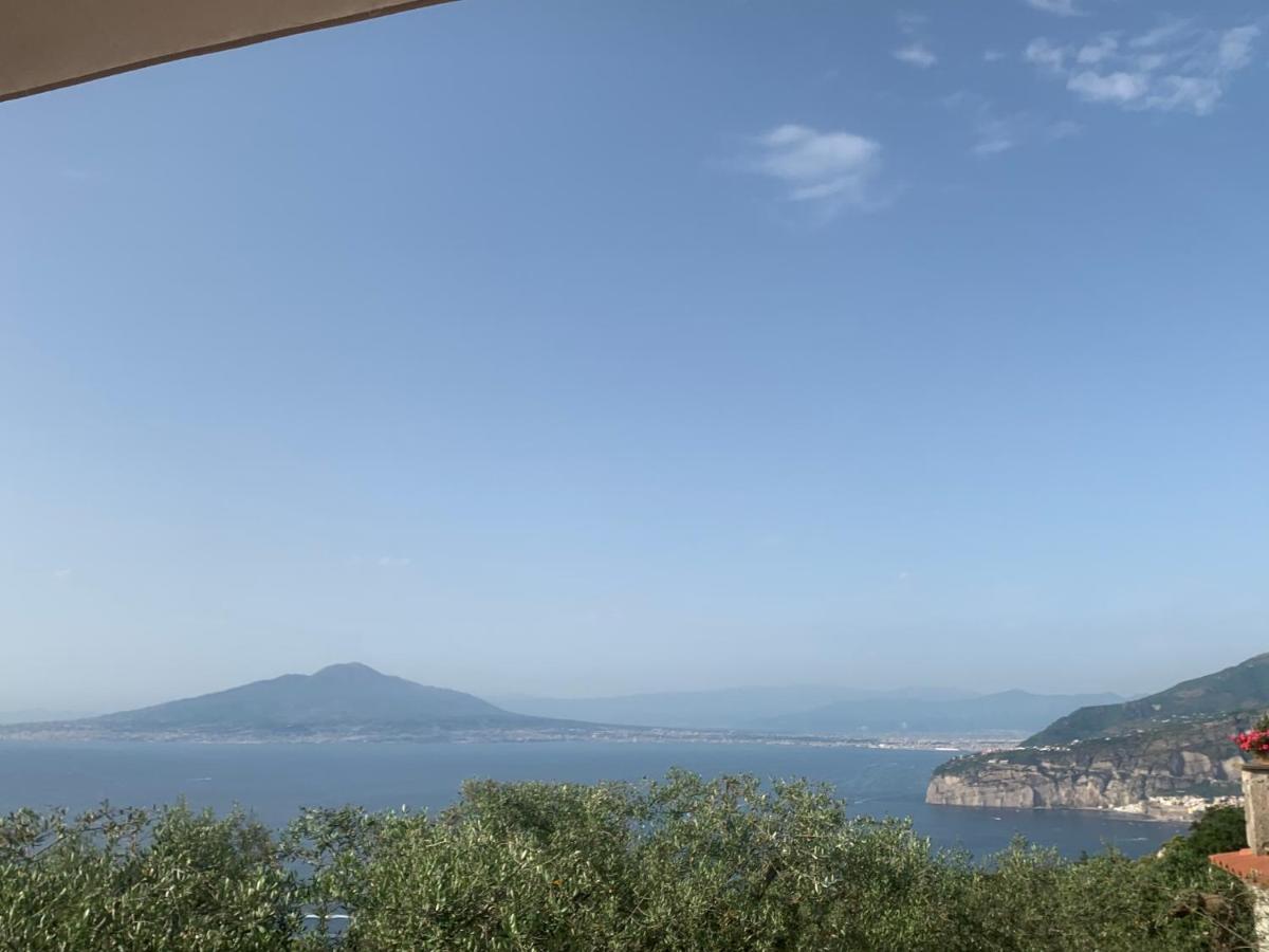 A Sorrento Bed and Breakfast Εξωτερικό φωτογραφία